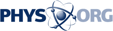 phys.org